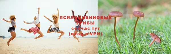 a pvp Кулебаки
